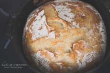 Dutch Oven Artisan Bread